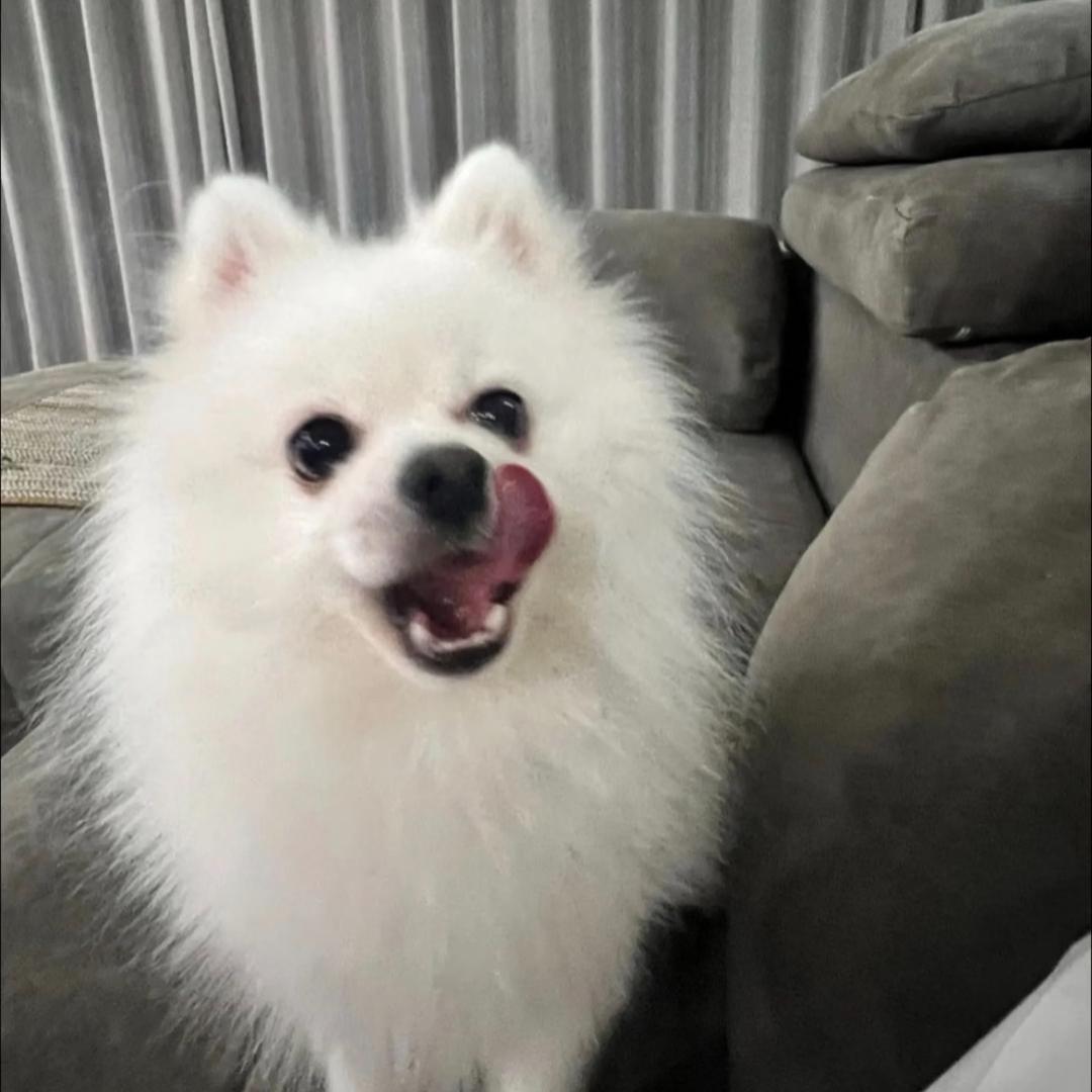 念你^ω^