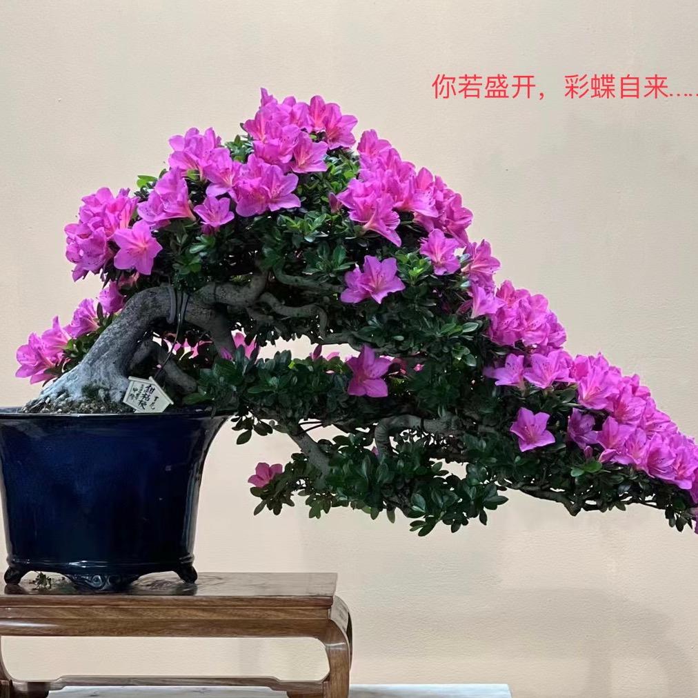 东哥西说