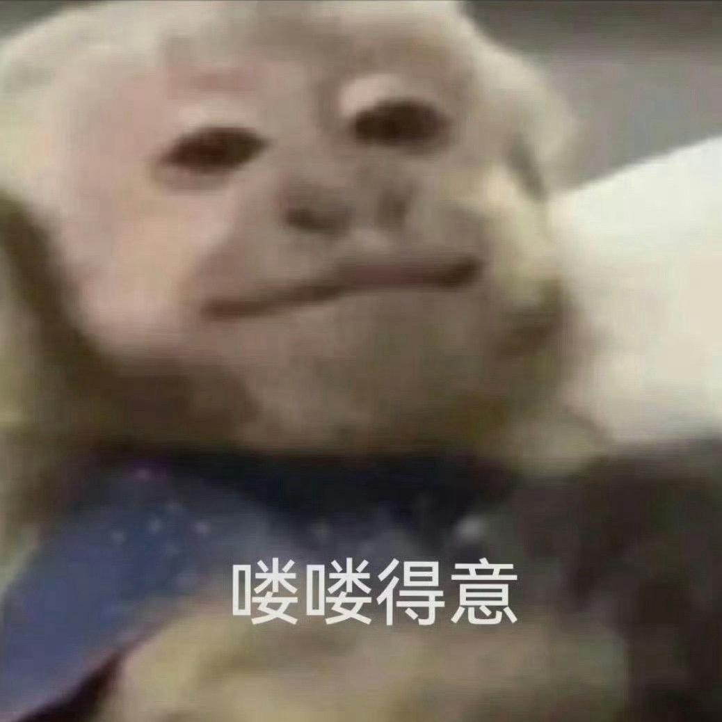 猴子