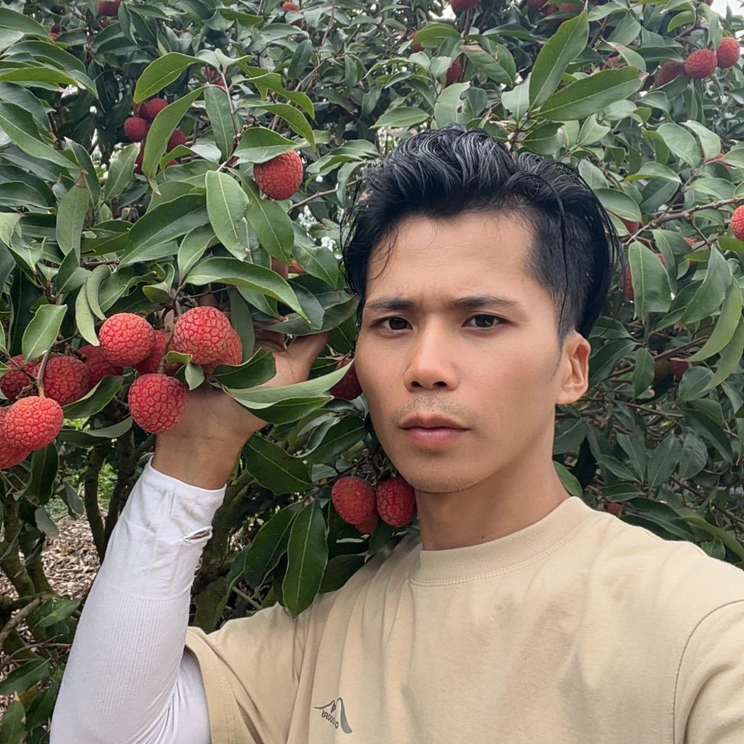 灵山赞哥（黄心木薯供应链）