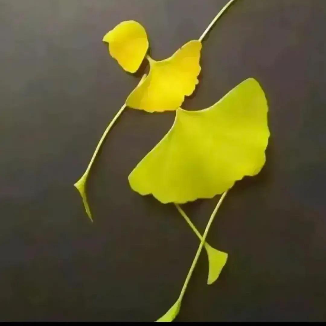 沃土e