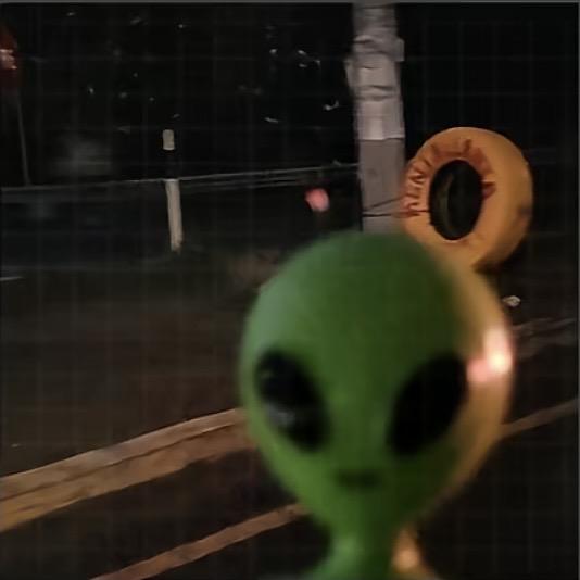 静海鲜果坊的头像