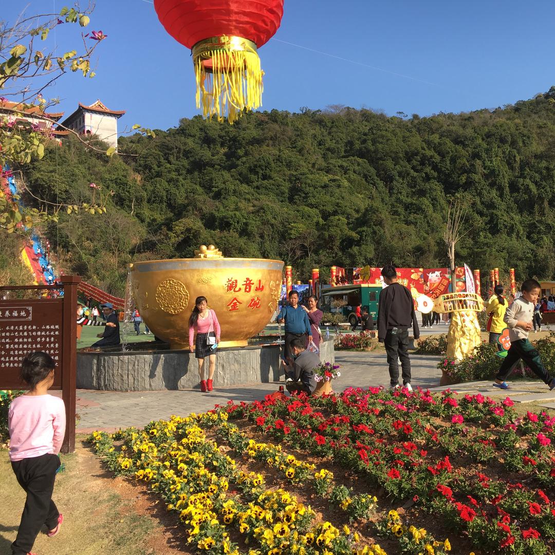 我在现场看抖音