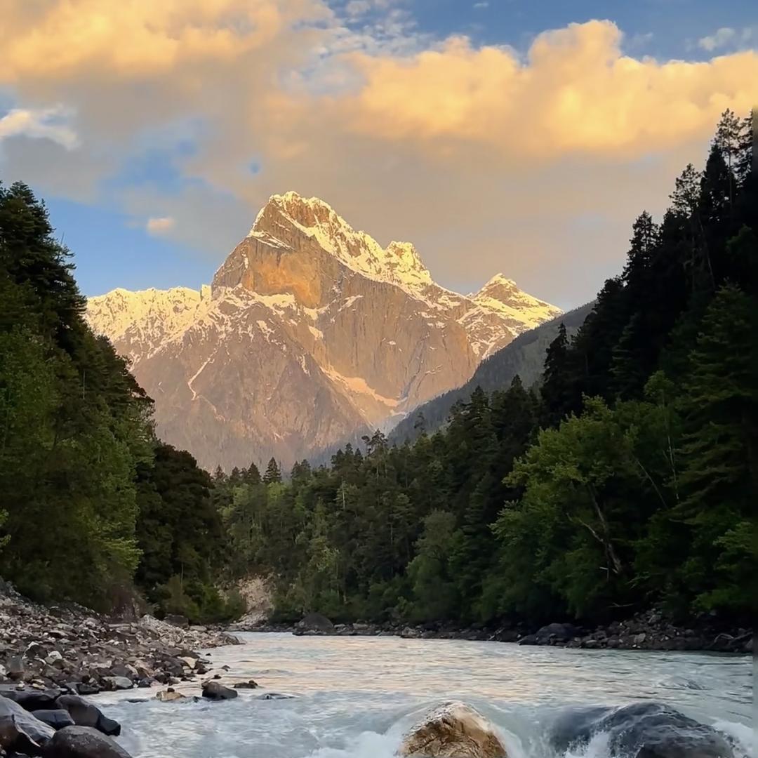 啄木鸟煌商女鞋专卖店