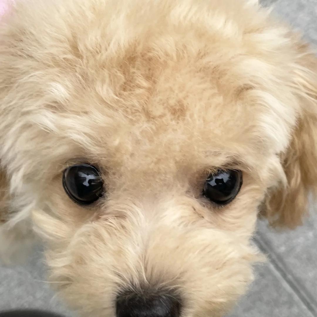 汤元^
