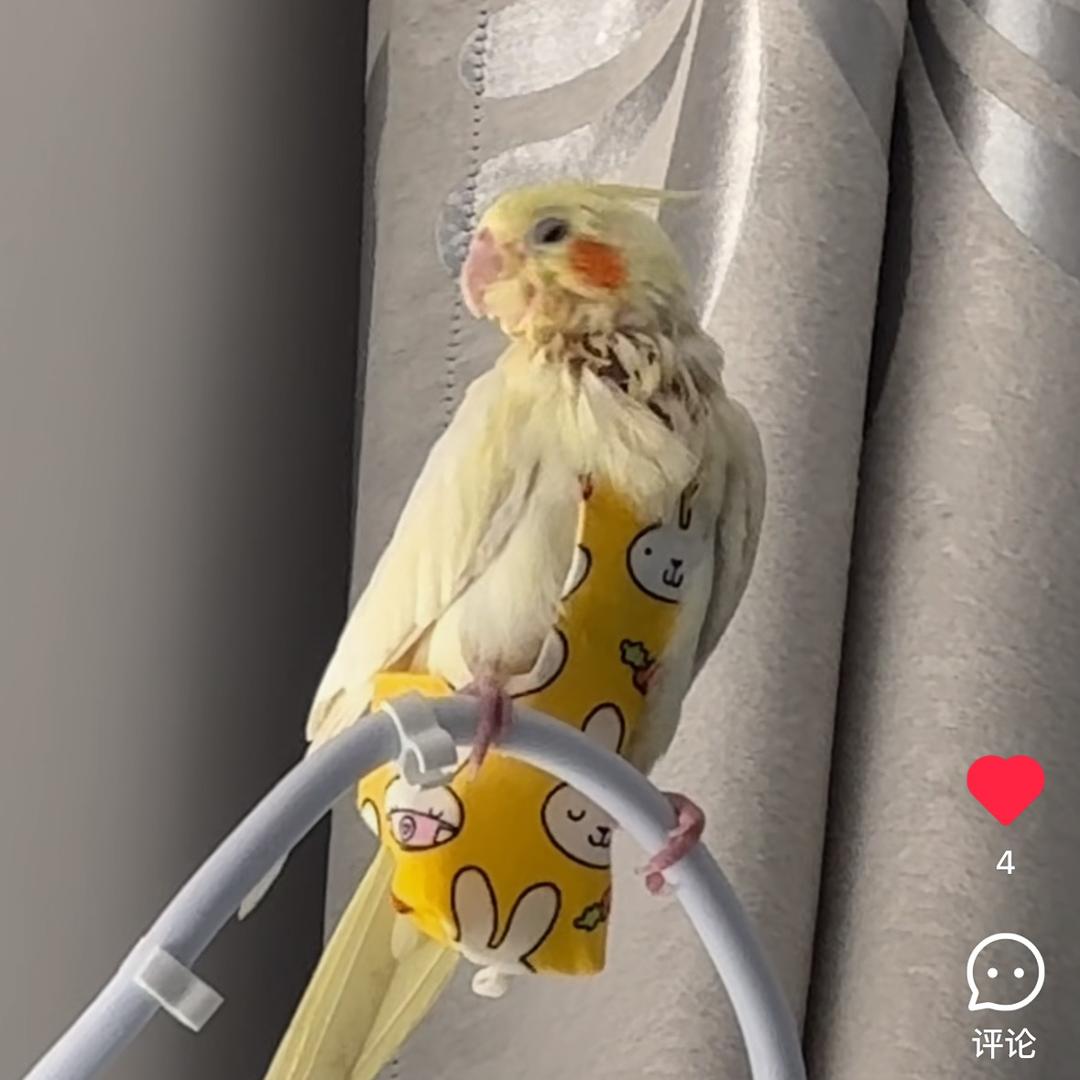 嘿嘿明天上学了