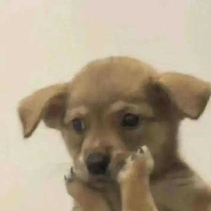 姐今天心情有点小糟糕