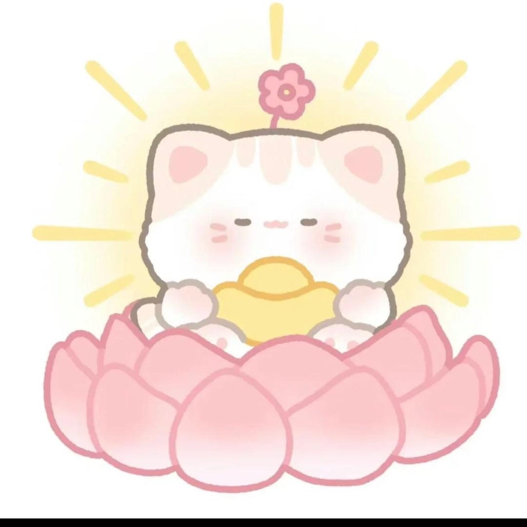 单招集训贝老师