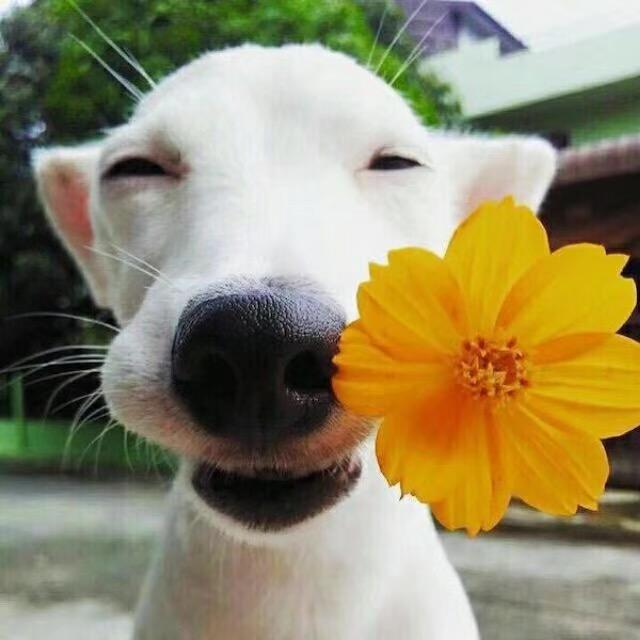 拒绝焦虑