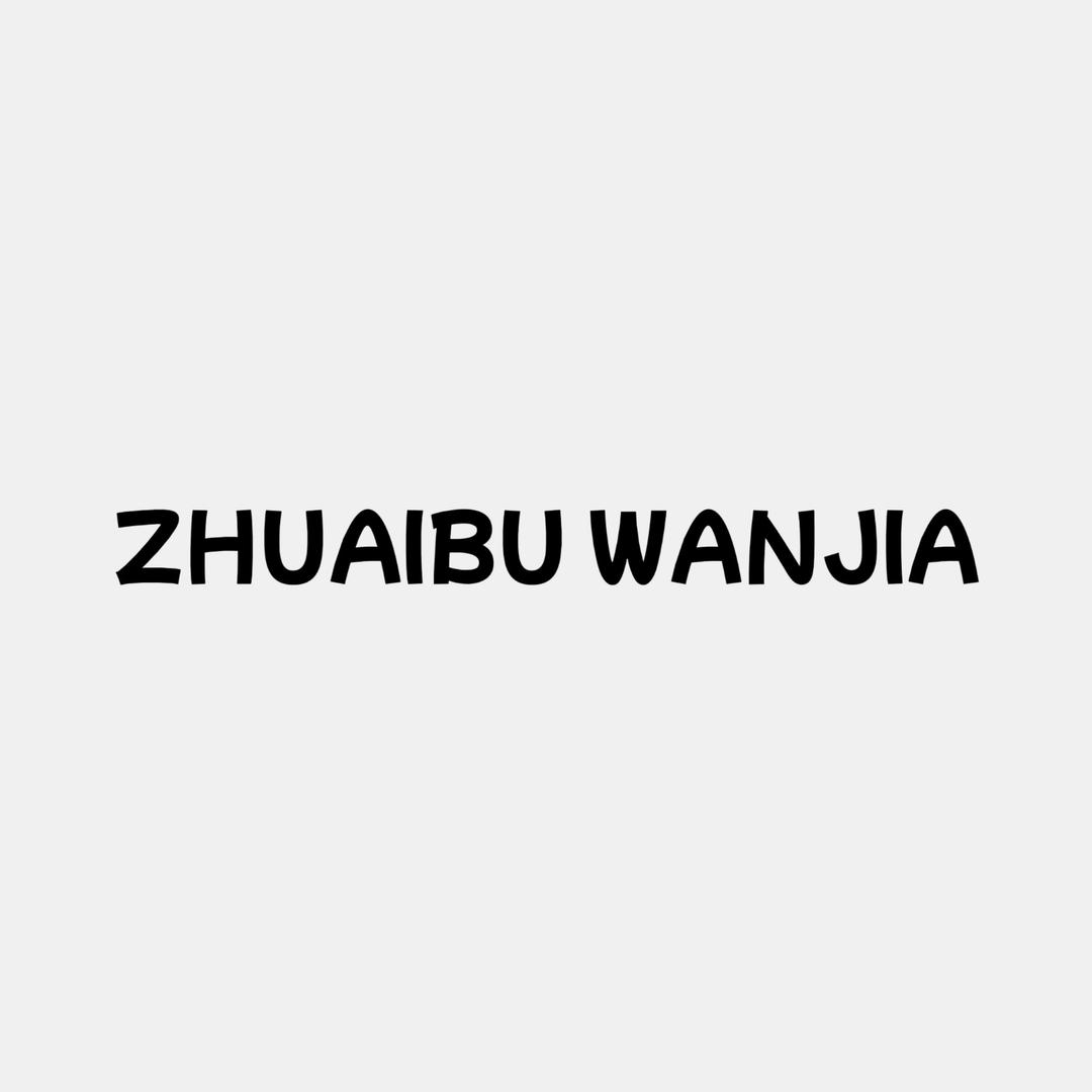 ZHUAIBU WANJIA线上商店