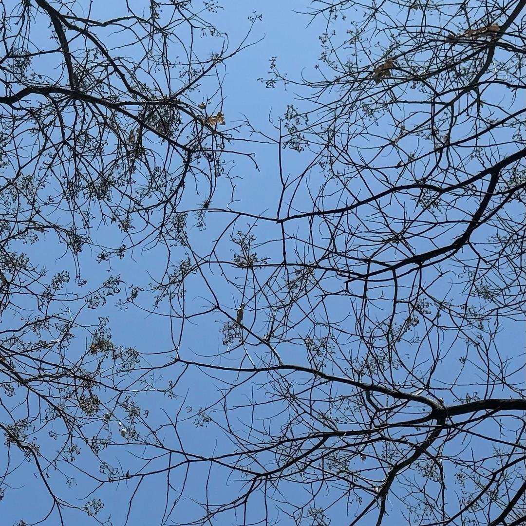 逆風局.