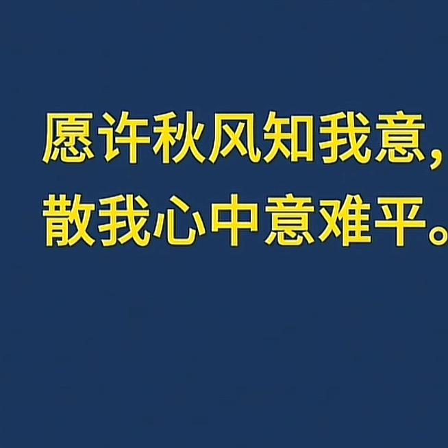 初来乍到