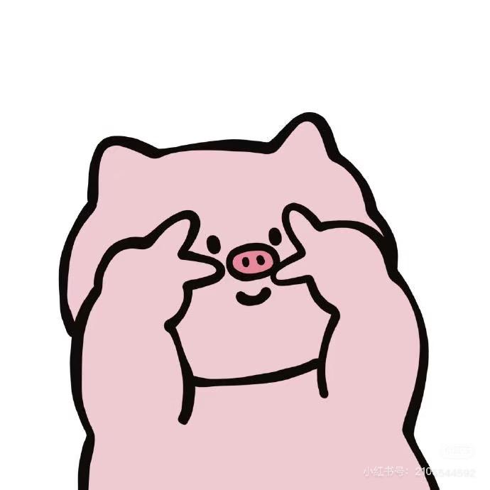 毛丫头.