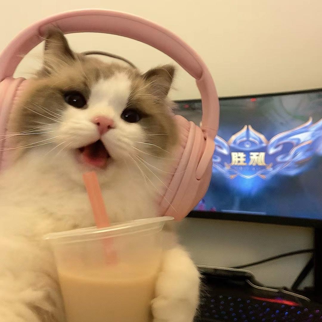 零 零