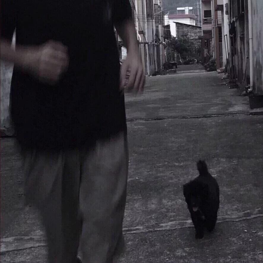 开网约车的小伙🚗🚗