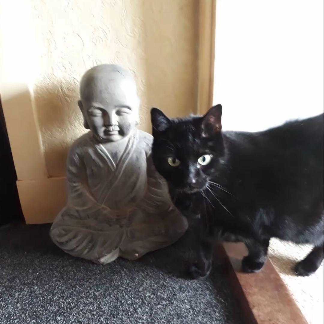 人生长恨水长东