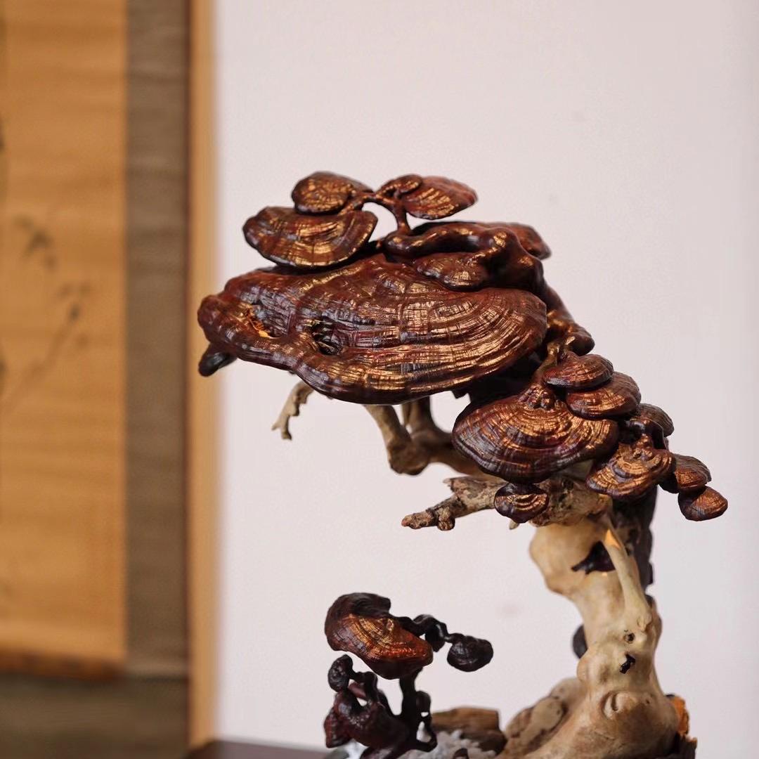 灵芝大王