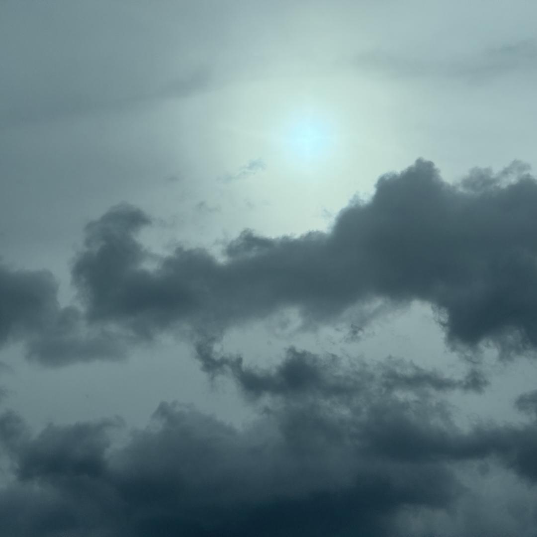 九只羊挑选优质好货