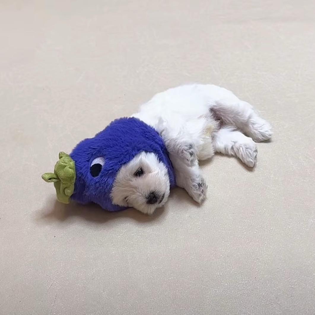痛彻心扉