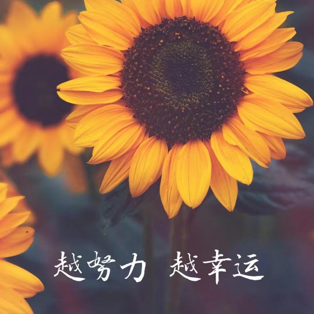 暖阳家政（龙总带徒）