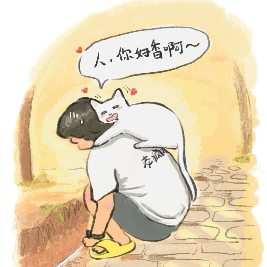 老疯杨的猫猫