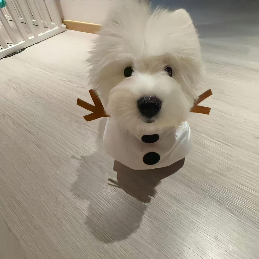 恰饭了莫