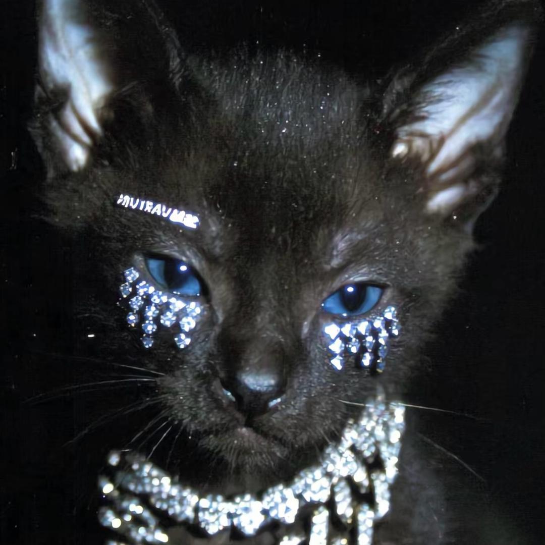 hello         的kitty