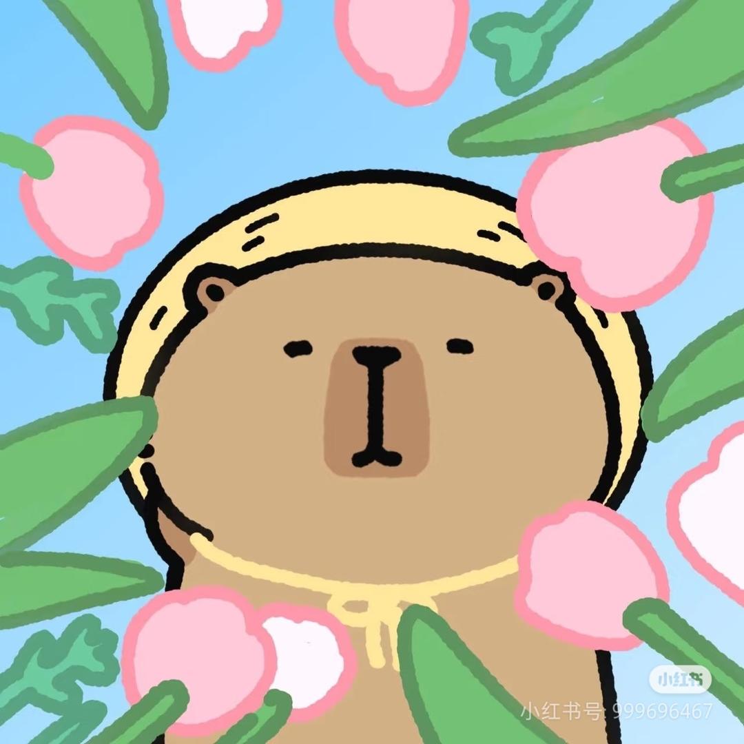一个张张包🍞