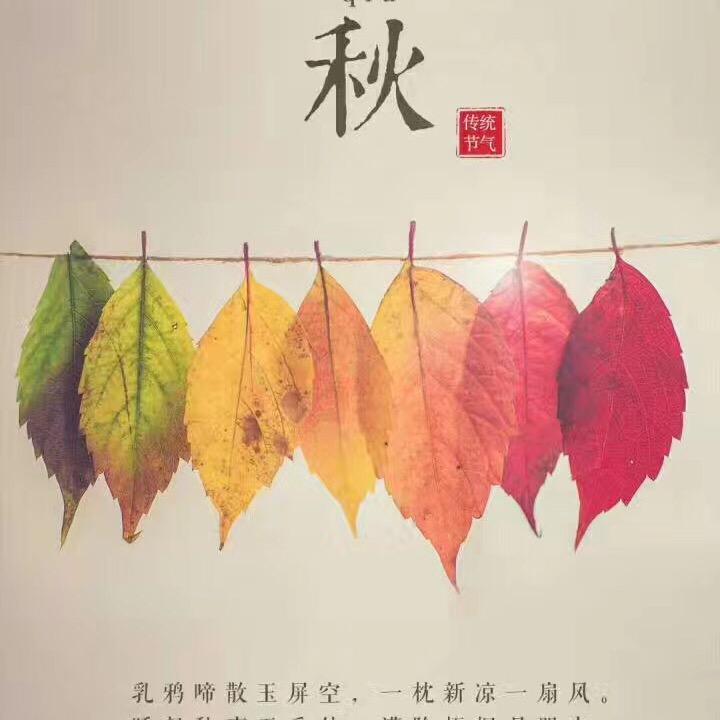 黄金枝