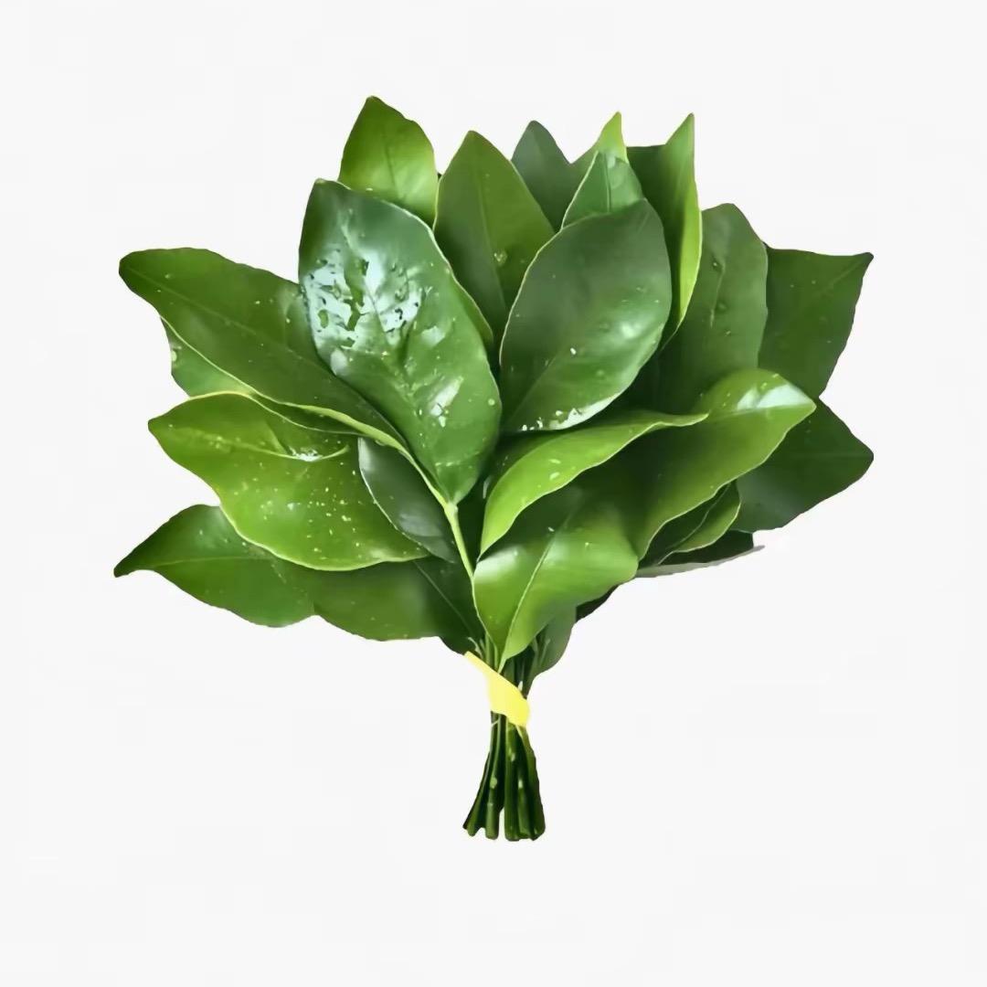 小鱼碎碎念