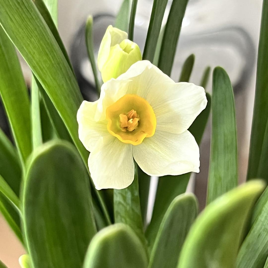 财富来ｌｉｎ21²¹