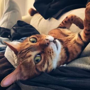 𝓙𝓲𝓮 𝓑𝓾 𝓡