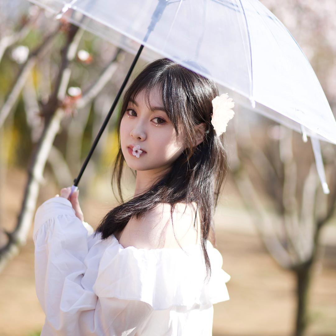 y子乖乖