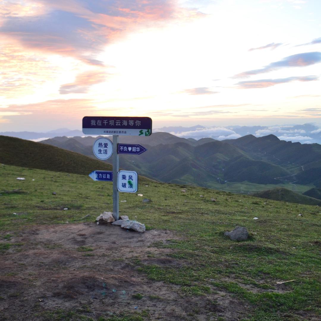 陇南最迷人的司机