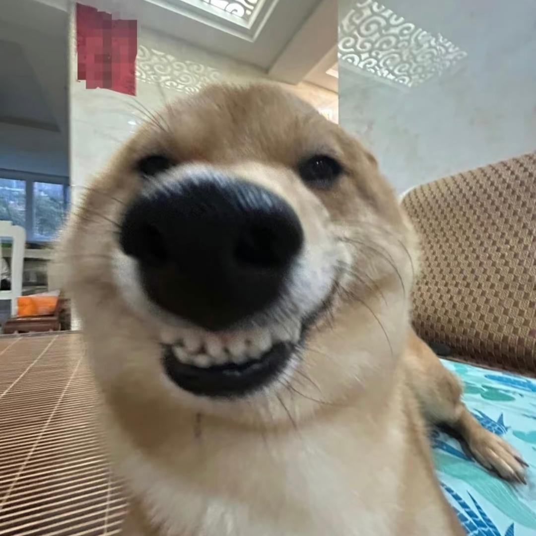 bzzb