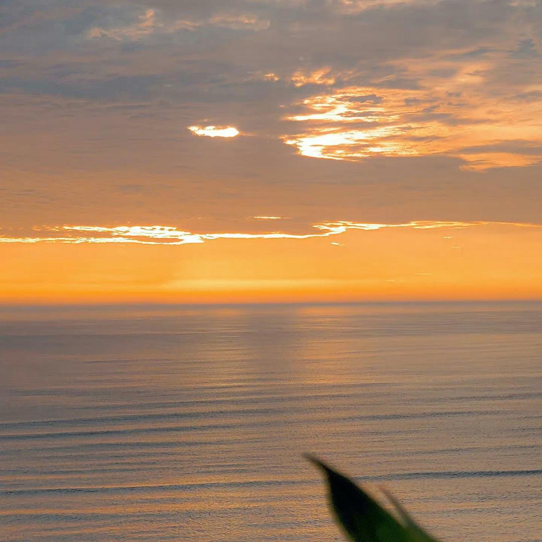 红李鱼与绿李鱼与驴