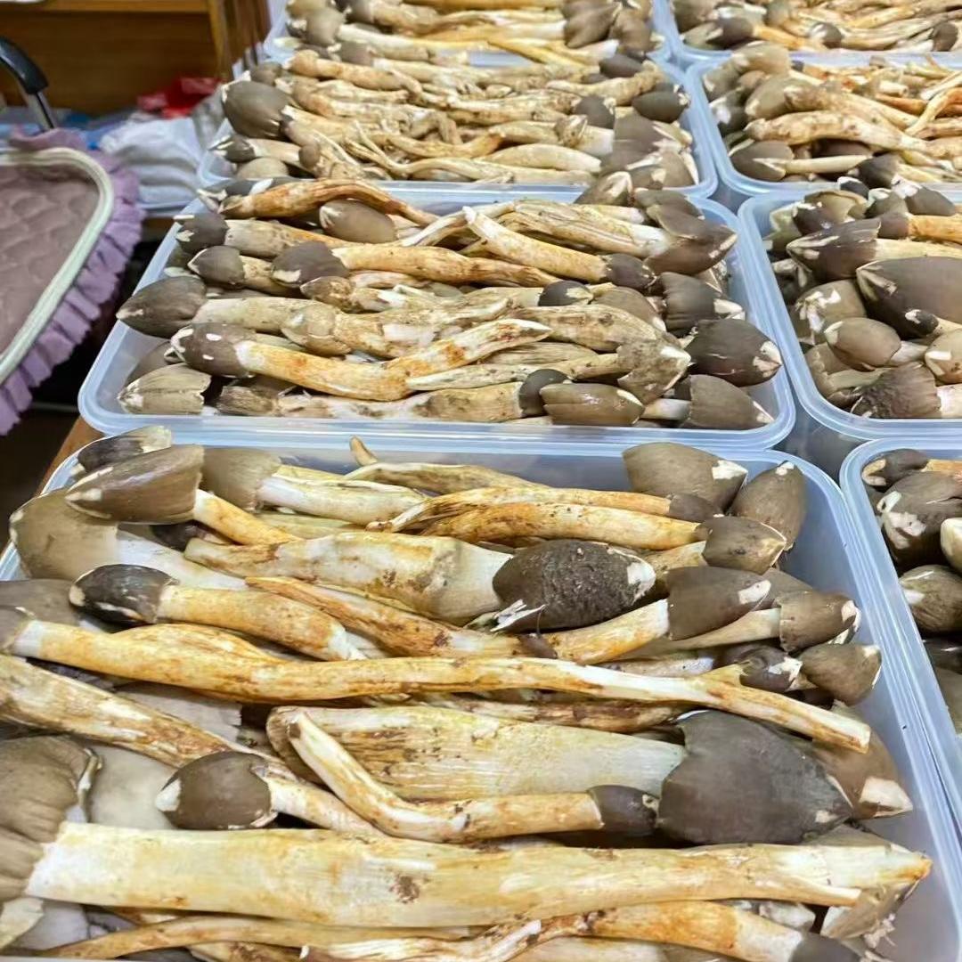 广州斤叔山货
