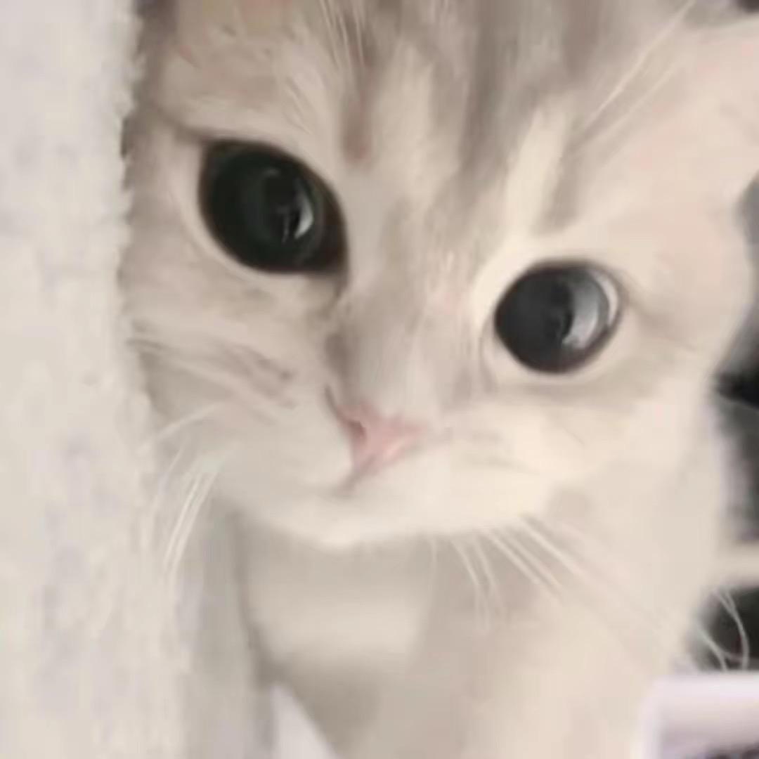 小益