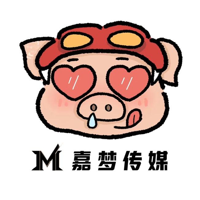 嘉梦传媒