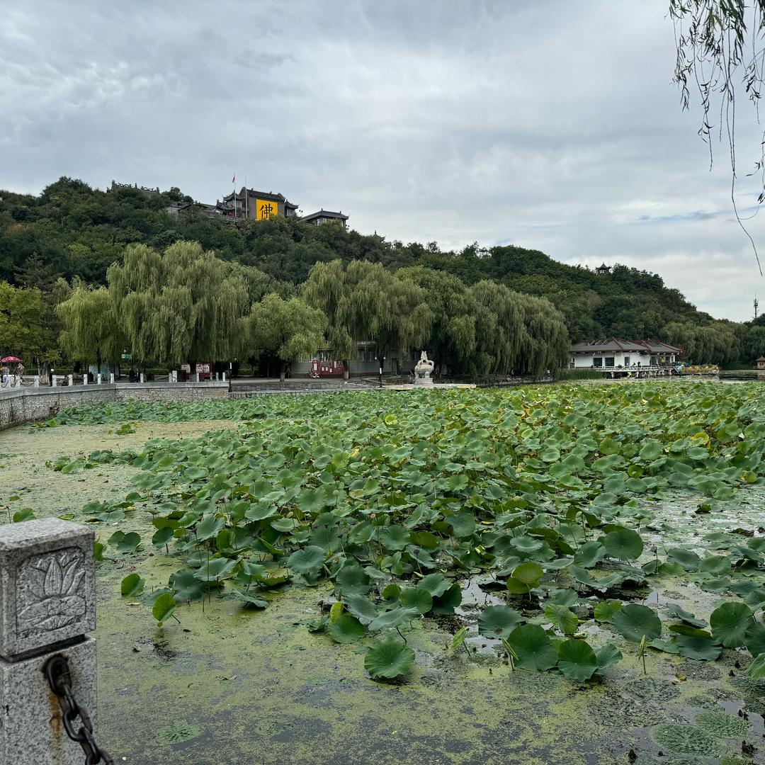 红尘物语（广结善缘）