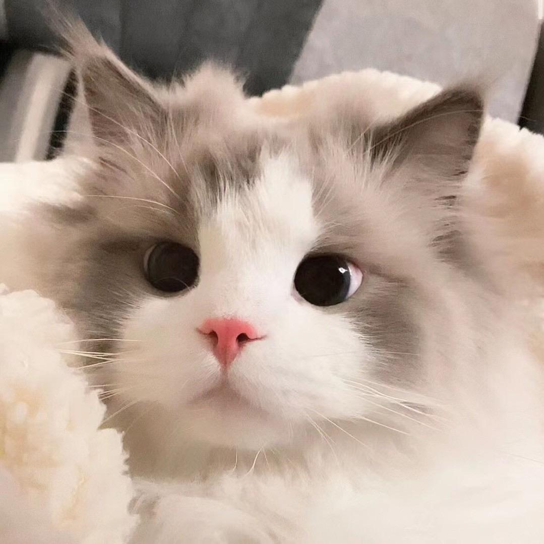 小信