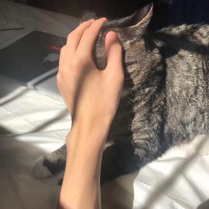 9i