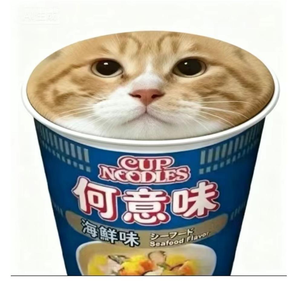 4070猫显卡堂堂复活(六只猫版)