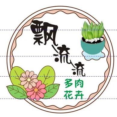 漂流流多肉植物