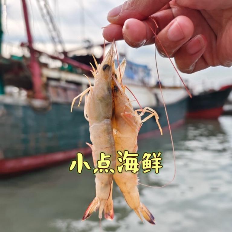 小点海鲜