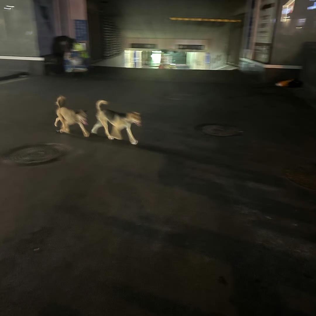 天赋点在网瘾上