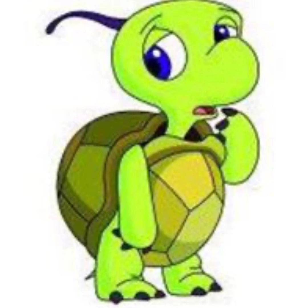 长盛养殖龟鳖(全国收龟)