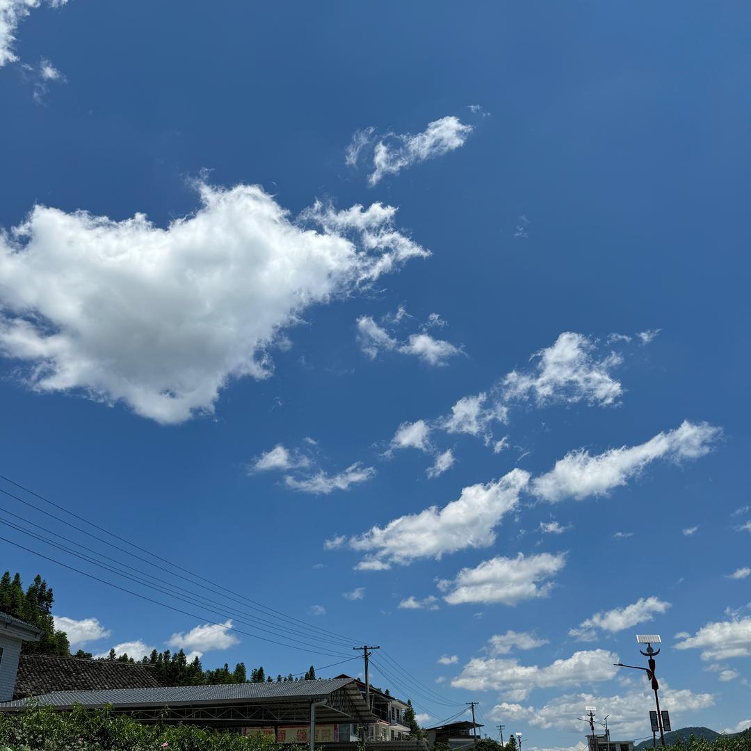 风来了