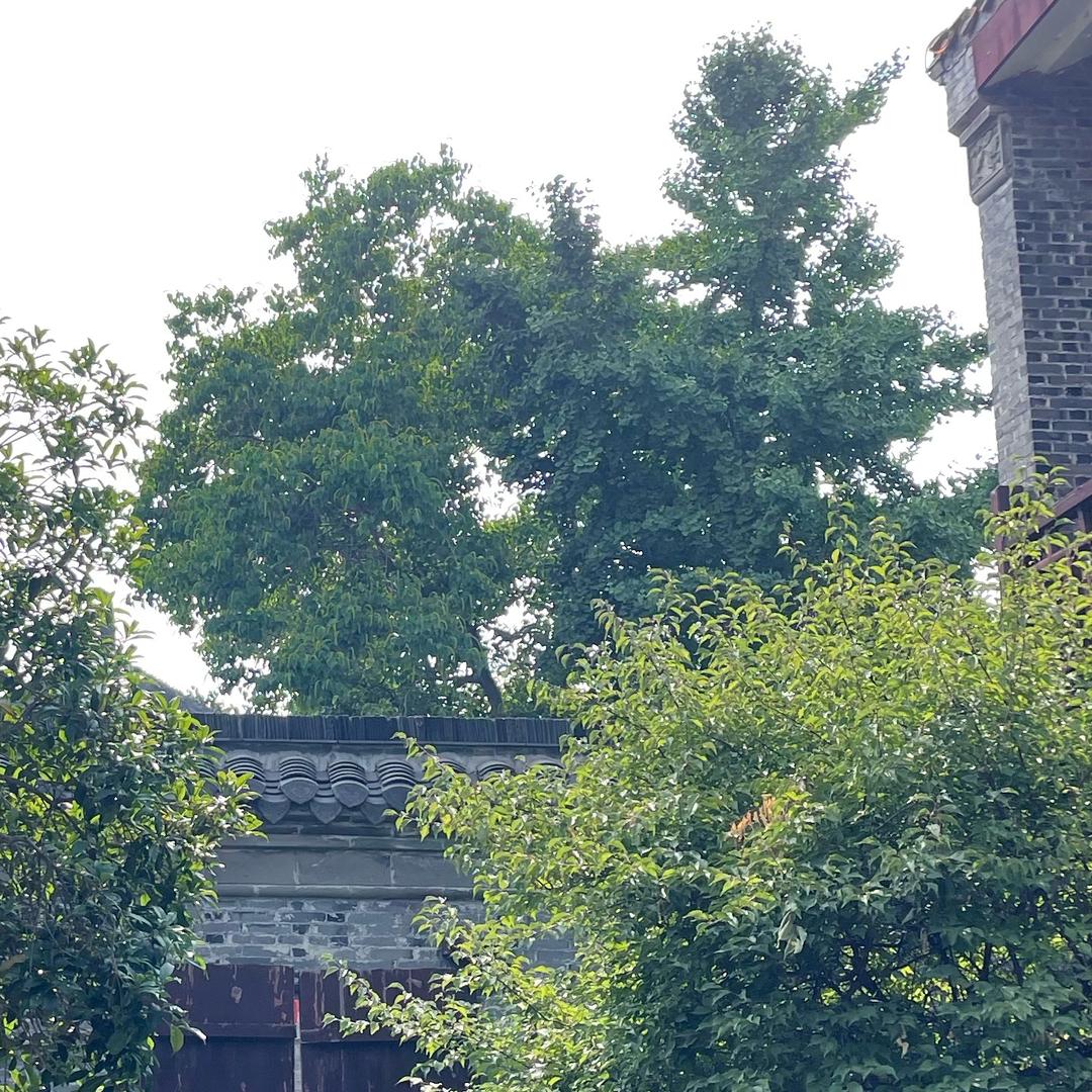 八百里慕