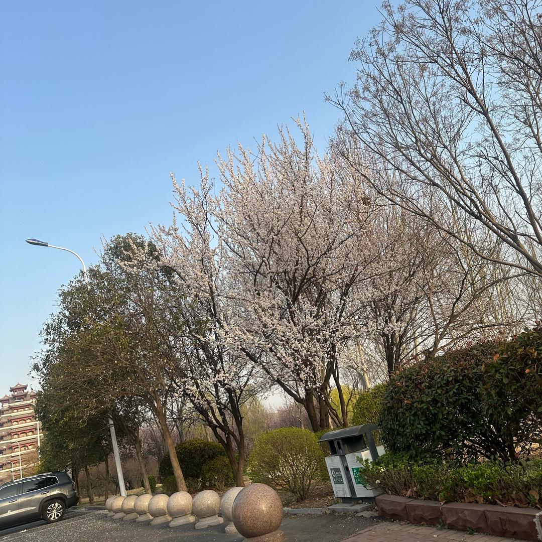 1、